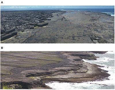 Systematic Review Shows That Work Done by Storm Waves Can Be Misinterpreted as Tsunami-Related Because Commonly Used Hydrodynamic Equations Are Flawed